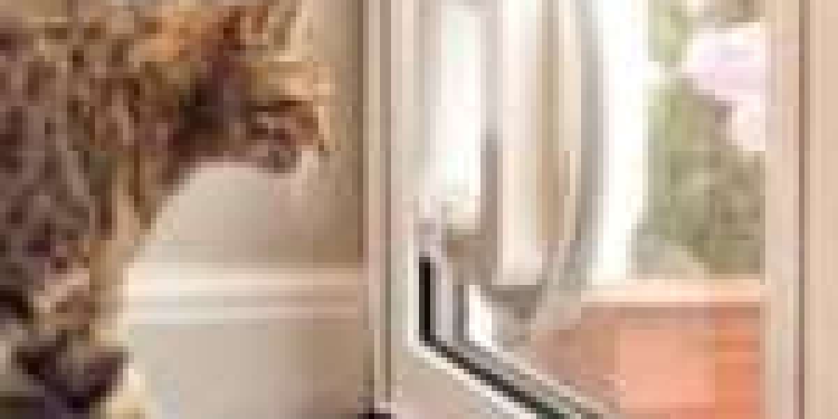 How Feline Flap Installer Was Able To Become The No.1 Trend In Social Media