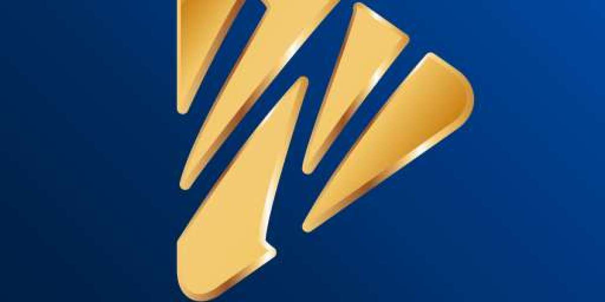 Wplay: A Retrospective on a Gaming Platform Pioneer